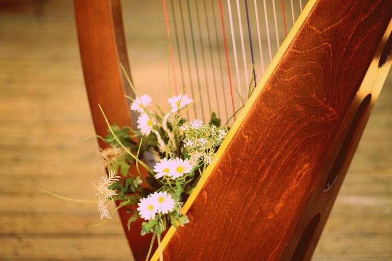 Harpist